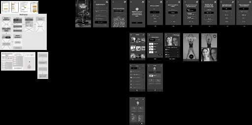 E-commerce app screens from an INF 495 prototype